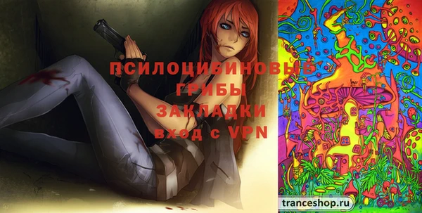 apvp Сясьстрой