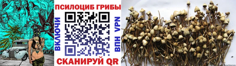 наркота  Еманжелинск  Псилоцибиновые грибы Magic Shrooms 